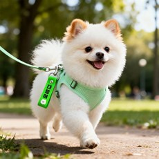 [블루나 디자인스튜디오] 양면 반려동물 네임택 강아지 애견 인식표 이름표 네임텍 인식표목걸이, 6 네임택끈 색상 베이지, 1개