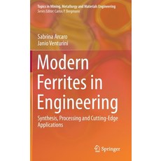 (영문도서) Modern Ferrites in Engineering: Synthesis Processing and Cutting-Edge Applications Hardcover, Springer, English, 9783030789879