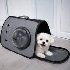 반려동물 강아지 가방 고양이 캐리어 산책 이동장 켄넬, 1개, 블루