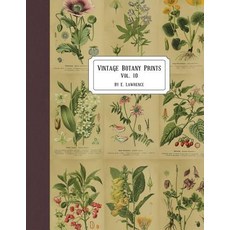 (영문도서) Vintage Botany Prints: Vol. 10 Paperback, Createspace Independent Pub..., English, 9781722499853