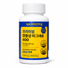 비타민마을 프리미엄 장용성 마그네슘 400 90g, 90정, 2개