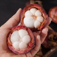 [고당도] 프리미엄 태국산 망고스틴, 1개, 망고스틴500g(5-7과)