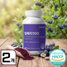 온바디핏 오스트리아산 빌베리 정, 2개, 120정