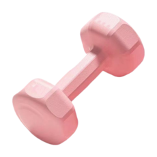LAVIDA 莫蘭迪啞鈴 2kg粉色 防滑環保材質 八角設計 核心訓練適用, 1個, 2kg, 粉色
