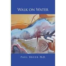 (영문도서)Walk on Water Paperback, Quantum Discovery, English, 9798896411017