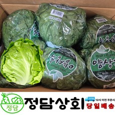 [ 정담상회 ] 국내산 양상추 포장 양상추 6수 내외, 6개, 450g