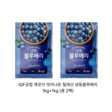[IQF공법] 깨끗이 씻은 칠레산 냉동블루베리 1kg+1kg (총 2팩), 1kg