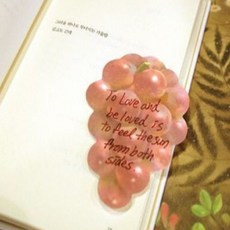 은빈몰 포도 메모