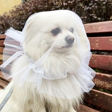 강아지 페이스커버 취식금지 해충 진드기 방지 얼굴망, 1개, 화이트