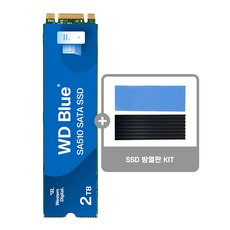 WD Blue SA510 M.2 SATA SSD + 히트싱크, WDS200T3B0B-00C7C0, 2TB