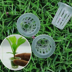 연질화분 다육이 플라스틱 분갈이 화분 모종 컵포트