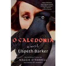 (영문도서) O Caledonia Paperback, Scribner Book Company, English, 9781668004616