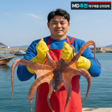 생산자직송 여수 돌문어 신선도A급 자연산, 1개, 1kg