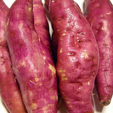 26년 첫수확 햇밤고구마 지금수확하는 진짜밤고구마, 1개, 햇밤고구마2kg(긴특/긴상)