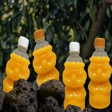 제주산과채주스 한라봉340ml 5개 천혜향340ml 5개 100프로제주산주스, 340ml