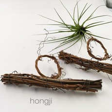 藤環衣架造型花圈 空鳳裝飾DIY藤編花環 土伏藤捕夢網 聖誕節拍攝道具