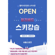 [엘리시안강촌스키장] 스키강습 강습허가권 포함, 1개, 1대3