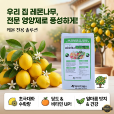 바스참 사해소금 버블바스 입욕제 레몬, 1kg, 2개