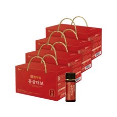 한뿌리 홍삼대보 100ml 10개입 4개