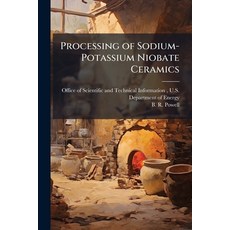 (영문도서)Processing of Sodium-Potassium Niobate Ceramics Paperback, Hutson Street Press, English, 9781025156729