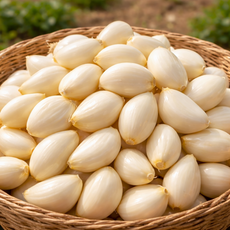 [산지직송] 간편 손질 알싸한 국산 깐마늘, 2개, 1kg