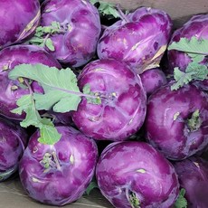 제주 콜라비 특품, 5kg, 1박스