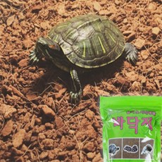 까미와사과 사막생물 바닥재160g 바닥재매트, 1