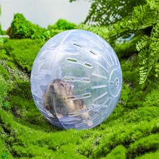 데일리모아 햄스터장난감 햄스터산책볼