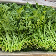 <해돋이농산> 국내산 쑥갓 2kg 4kg, 1개