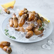 국내산 미더덕 500g, 없음, 상세설명 참조