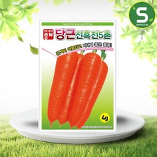 아시아종묘 당근 신흑전5촌 씨앗 4g, 1개
