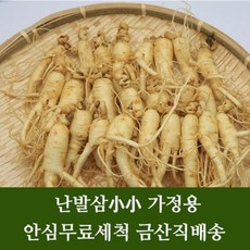 금산 인삼 세척수삼 난발삼 소, 750g, 1개