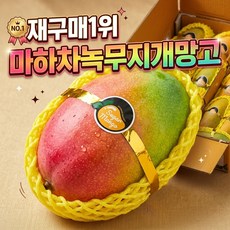 마하차녹 무지개 망고 초고당도 프리미엄, 1박스, 2.5kg 5-9과 내외