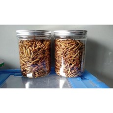 一心有所鼠鳳凰蟲乾，60公克罐裝/袋裝/分裝，蜜袋鼯、刺蝟、蜥蜴適用，全飼料養殖, 1個, 罐裝60克