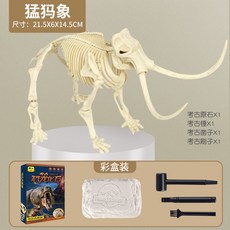 考古DIY恐龍考古彩盒包裝 兒童益智玩具 尋寶手工挖礦手作材料包, 1個, 6#猛瑪象【彩盒裝】