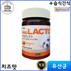 GSB 프로락토 유산균 치즈맛 120g + 동물병원 전용 습식간식 / 강아지 고양이 유산균 / 기능성 영양제 / 장운동 촉진기능, 1개, 장건강/유산균, 60회분