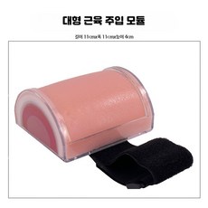 피부 모형 실습 인공 연습용 스킨 패드 연습 교육용 교육, 1개, 근육 주입 모듈 (큰 개 곡선형)