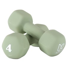 아리프 네오프렌 선인장 아령, 4kg, 2개