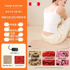 미소샵 소형전기매트 다리 목 전기찜질팩 아랫배 허리, 플러그인모델, 1개, 기본 색상