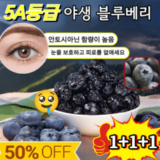 [프리미엄급!]1+1+1무설탕 건블루베리 100% 프리미엄 건조 블루베리 야생 블루베리/유기농, 1*100g(5A)