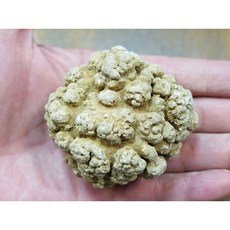腦舍利 能量礦石 泰國宗教礦物 寮國洞穴古代嘛呢石, 1個