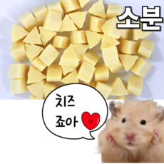 (best) 햄스터 마루칸 치즈 간식 이갈이 소동물 기니피그 고슴도치, 20g, 1개