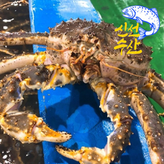 짭조름한 바다 풍미와 함께 촉촉하고 쫀득하게 살이 꽉 찬 블루킹크랩, 1박스, 자숙 블루킹크랩(원물) 2kg