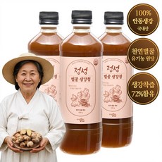 물 한방울 안들어간 진짜 국내산 100% 안동 생강 천연벌꿀 정성 생강청 원액 생강차, 620g, 3개, 1개입