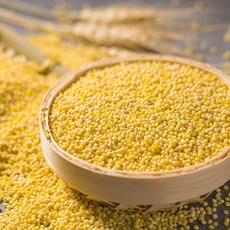 【展榮商號 五穀米】檢驗合格 蕎麥 大麥 小薏仁 洋薏仁 綿密 鬆軟 工廠直營 實體門市, 1個, 糯小米, 500g