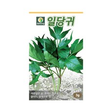 다농 일당귀 씨앗 3g, 1개