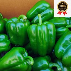 국내산 실속형 못난이상 청피망 1kg 3kg 5kg 10kg 내외, 1개, 실속형청피망1kg