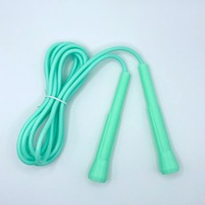 프라홈 파스텔 컬러 줄넘기 3종, 민트, 1개