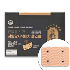 [사임당 올인원 자석패치] 4포인트 안정적 자기장 / 넓은 부위 전신관리 통증완화 혈액순환 개선 (티제이글로벌 따사롬), 1개, 20매