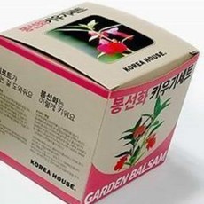 셀러덕 봉선화 키우기세트 식물키우기키트